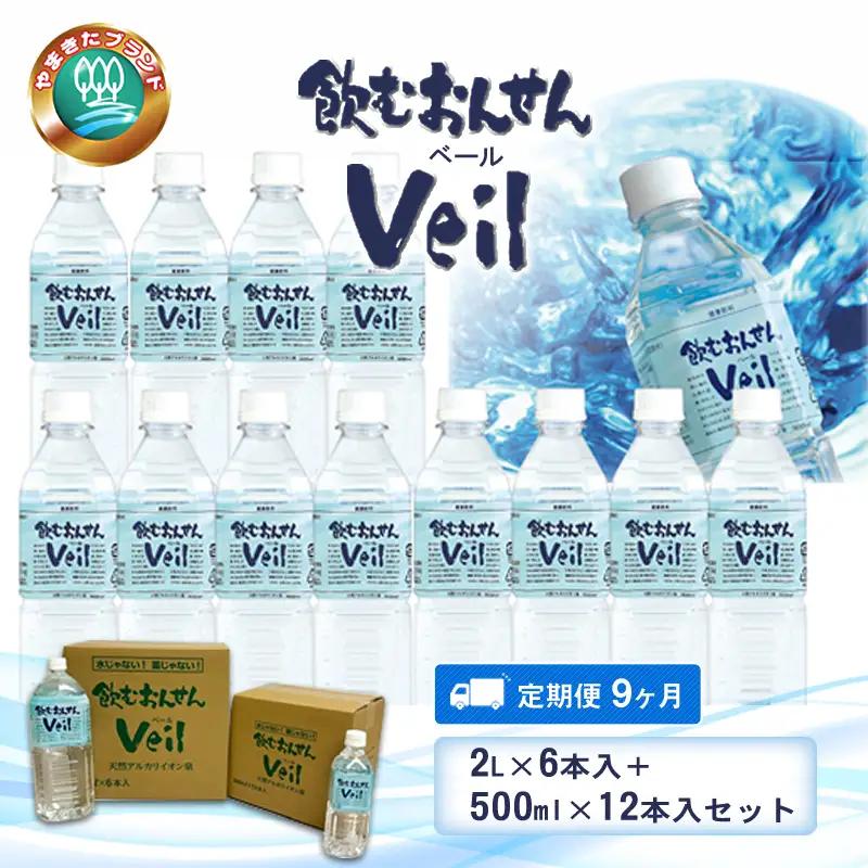 【定期便9ヶ月】飲むおんせんベール2L×6本入+500ml×12本入セット【 温泉水 温泉純度100％ 保存水 防災 神奈川県 山北町 】