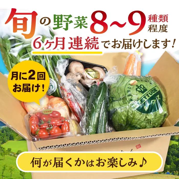 月2回お届け【12回定期便】諫早産 野菜の詰め合わせ 8・9品目程度 / 季節 旬 野菜 やさい 春野菜 夏野菜 秋野菜 野菜セット 詰め合わせ 野菜定期 野菜定期便 定期便 / 諫早市 / 肥前グロ