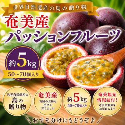 ふるさと納税 奄美市 【2026年観光雑誌付き】大満足!奄美産パッションフルーツ約5kg(50〜70個)甘酸っぱい黄金果肉