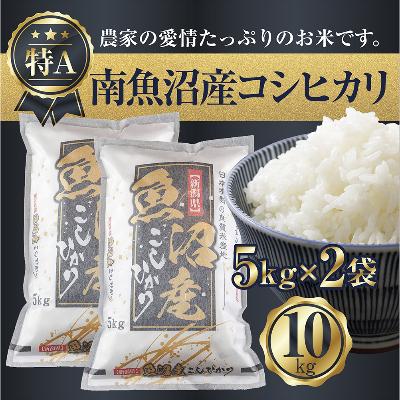 ふるさと納税 南魚沼市 新潟県 南魚沼産 コシヒカリ お米 5kg×2袋10kg 精米済み(お米の美味しい炊き方ガイド付き)