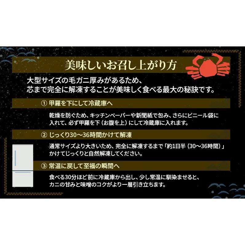 オホーツク枝幸産 冷凍ボイル毛がに 1kg×1尾［三興水産］濃厚な蟹味噌【 カニ 蟹 毛ガニ 毛がに 毛蟹 かにみそ 蟹味噌 ボイル 茹で 冷凍 北海道 枝幸 特大 ギフト 】