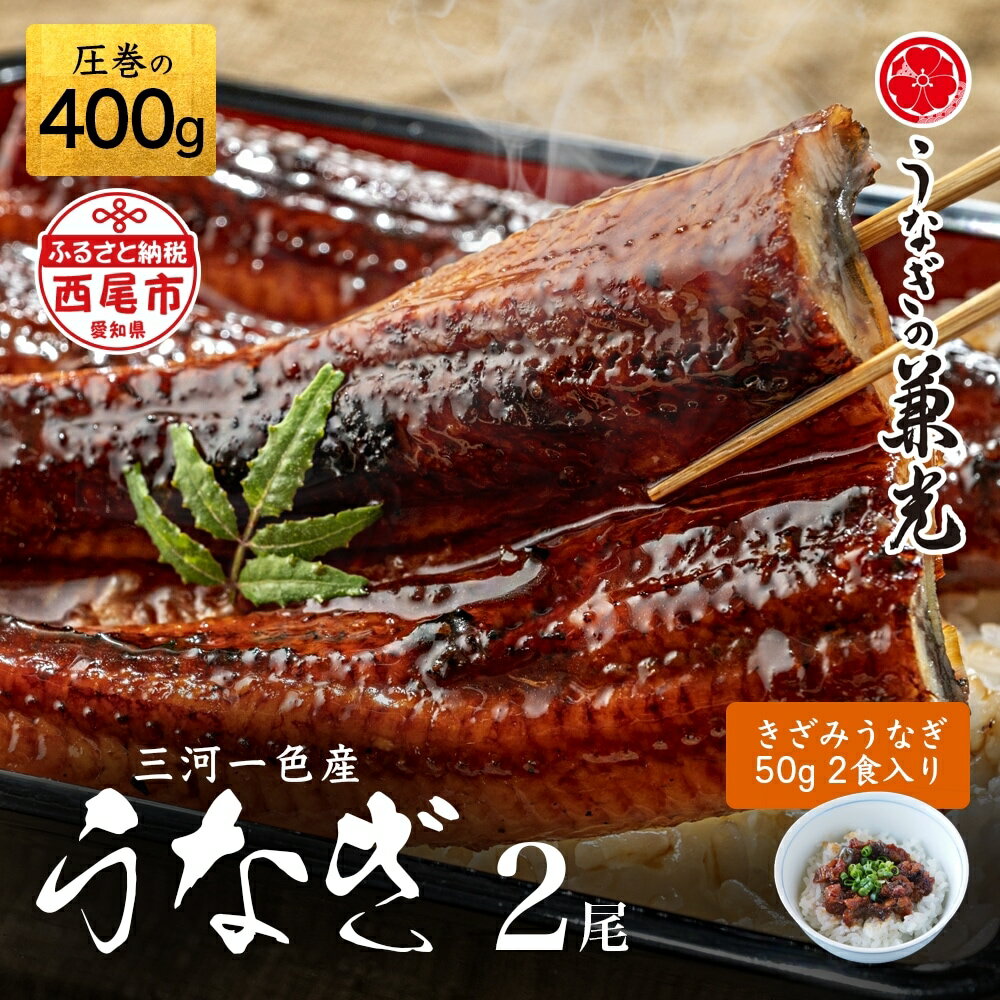 【ふるさと納税】【4月27日までの入金確認で母の日までにお届け】うなぎ 西尾 三河産 一色産 うなぎ 蒲焼き 【特大サイズ2尾 ＋ きざみうなぎ 2食入りセット (長焼き 2尾400g ＋ きざみうなぎ50g×2食)】U022-19【冷凍便】うなぎの兼光 国産 鰻 西尾一色産 丑の日 MB