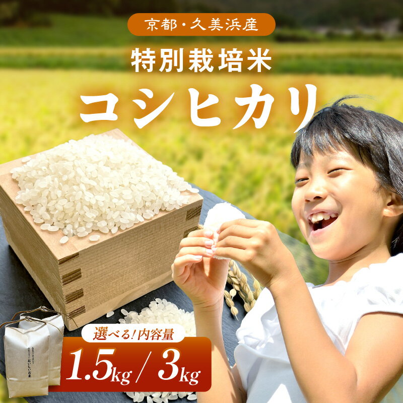 【ふるさと納税】清流で育てたお米【予約・令和7年産】／京都・久美浜産 特別栽培米コシヒカリ 1.5kg 3kg(1.5kg×2袋) 選べる 内容量 お米 特別栽培米 精米 白米 ふるさと納税 米 こしひかり 1.5キロ 3キロ ふるさと納税 こしひかり コシヒカリ ご飯 ごはん ふるさと納税 米