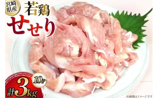 鶏肉 宮崎県産 若鶏 せせり 300g 10p 計3kg セット [TRINITY 宮崎県 日向市 452061342] 小肉 小分け 鶏 宮崎 冷凍 真空包装
