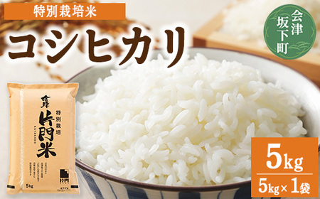 3-L　コシヒカリ 白米 会津 5kg 1袋 令和7年産米 ｜ 減農薬 特別栽培米 米 お米 藤川農産 ※2025年10月上旬頃より順次発送予定
