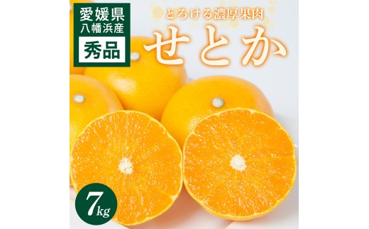 【先行受付】 せとか 7kg 愛媛県 八幡浜市 西宇和地区 とろける濃厚果肉 柑橘の女王＜H25-327＞【1714496】 YWTAP268