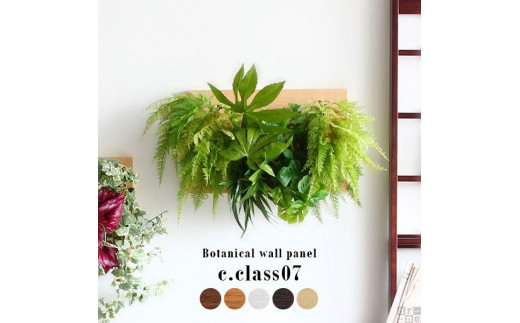 Botanical c.class 07　ブラウン
