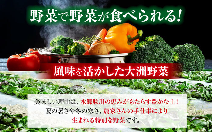 【全12回定期便】【シェフの目線】クリーン白米+旬のお野菜セット【ふるさと納税限定】　愛媛県大洲市/有限会社ヒロファミリーフーズ[AGBX011]お米 白米 あきたこまち サラダ カレー トマト 料理