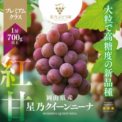 【ふるさと納税】【三つ星】プレミアム星乃クインニーナ 数量限定 1房(700g)_ クインニーナ 数量限定 高級ぶどう 贈答用 岡山県 津山市 くだもの 果物 フルーツ 人気 おすすめ 送料無料 贈答 ギフト 【配送不可地域：離島・北海道・沖縄県】【1601598】