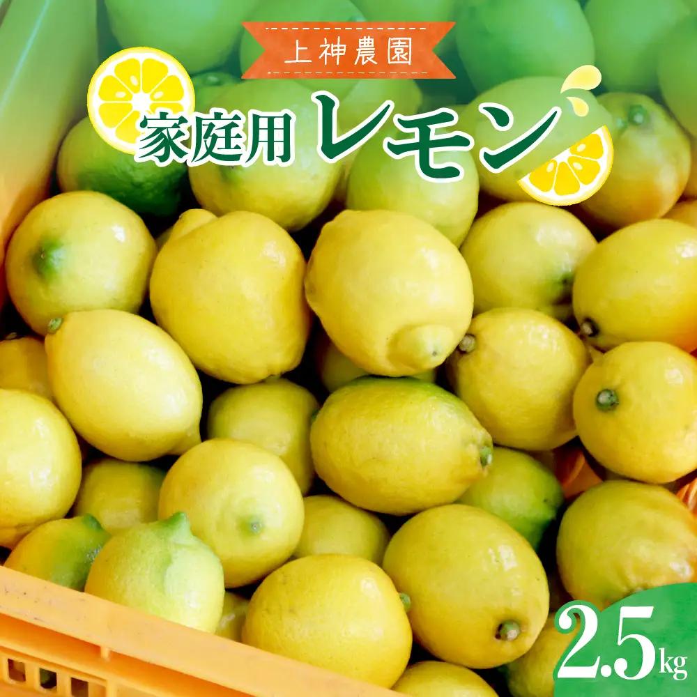 先行受付 2026年11月～発送 家庭用 広島産 レモン 約2.5kg