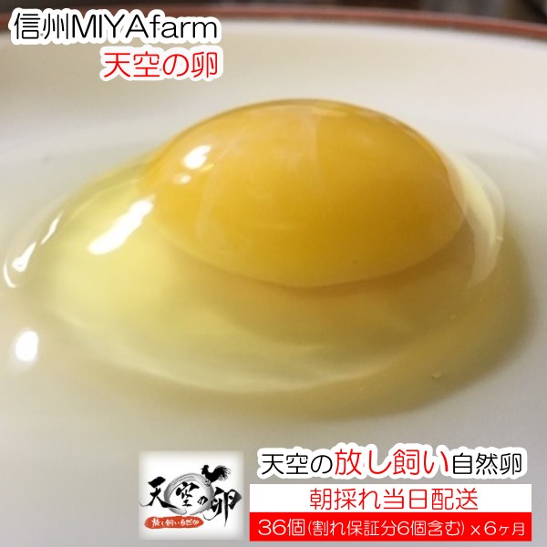 【ふるさと納税】382＊信州MIYAFARM　「天空の卵」新鮮野菜を食べて育った放し飼い自然卵　6ヶ月定期便