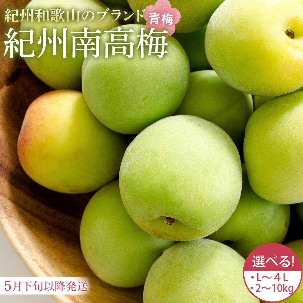 【ふるさと納税】【2026年5月下旬以降発送】紀州南高梅(青梅) 2～10kg〈L～3Lサイズ〉 | 上富田町 青梅 紀州産 南高梅 加工用 梅酒 梅ジュース 人気 おすすめ 果実 和歌山産 大粒 フルーツ 旬の味 お取り寄せ 送料無料 ふるさと納税