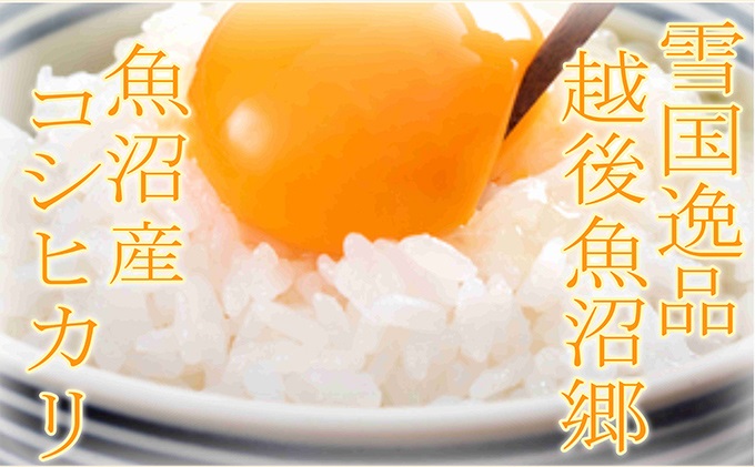 【定期便：雪国逸品 精米10kg×3ヶ月】越後魚沼郷 魚沼産コシヒカリ お米 人 自然調和 ミネラル 奇跡 自然環境 努カ 香り つや 粘り 極上 