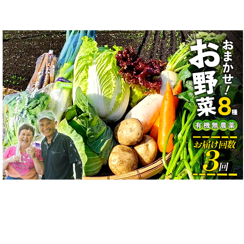 【3回定期便】特別栽培季節のお野菜セット 8品 野菜 無農薬 有機栽培 新鮮 やさい 旬 詰合せ 国産 宮崎県 九州 送料無料