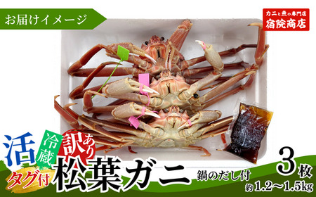 【先行予約】【訳あり 活松葉ガニ 生 3枚（計約1.2～1.5kg）冷蔵】令和7年2月以降配送予定 ※足が1～2本折れたカニが混じります カニの本場 香住で水揚げされた新鮮な活松葉ガニをお届け 国産 