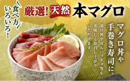 【5回お届け定期便】厳選天然 本マグロ 定期便 ge009