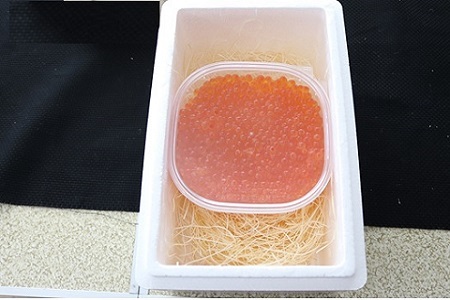 エゾバフンウニ100g×1折、いくら醤油漬け(鱒卵)150g×1P[11月中旬以降発送] D-71059