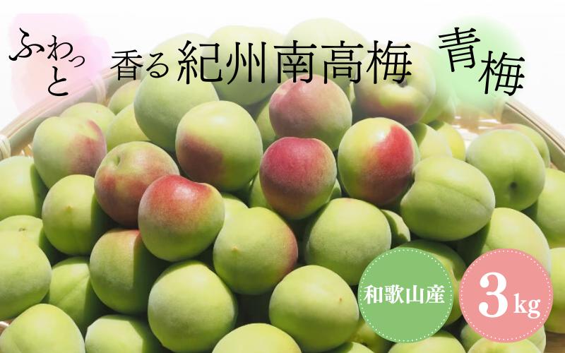 
            【先行予約】ふわっと香る紀州南高梅　青梅3kg ※2026年5月下旬～7月上旬頃に順次発送予定【期間限定：2026年6月15日まで】 / 和歌山 田辺市 紀州南高梅 南高梅 梅干し 梅干 梅 うめ 青梅 梅シロップ 梅酒 【nok001】
          