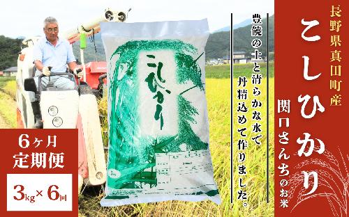 米 令和7年産 定期便 6ヶ月 関口さんちのお米 コシヒカリ 3kg お米 こめ コメ 新米 精米 白米 ご飯 こしひかり 長野 信州 6回 半年 お楽しみ