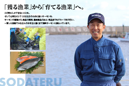 【2025年6月上旬発送】海峡サーモン特選切身セット8切(4種8点)