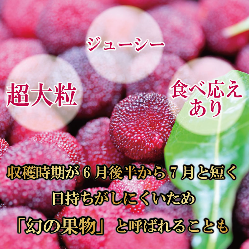 【先行予約】やまもも 400g 2026年6月下旬より順次発送 小分け パック 季節 フルーツ レア ベリー 山桃 健康 ジャム 果実酒 おやつ お菓子 スムージー 小松島市 国産