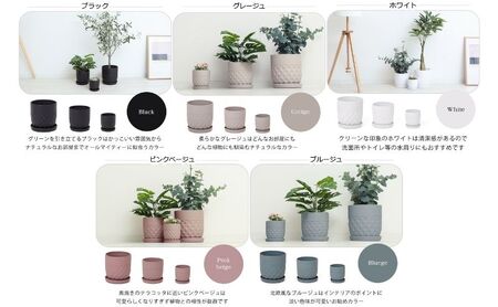 植木鉢 Φ14 crescere クレッシェル 選べるカラー セラミック フラワーポット プランター 鉢 受け皿 サボテン ミニ観葉植物 おしゃれ くすみカラー ガーデニング用品 ガーデニング 園芸 