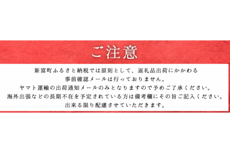 ＜宮崎牛＞モモ肉ブロック 300g※90日以内出荷【B330】