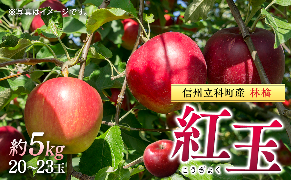 紅玉（約5kg、優20～23玉）