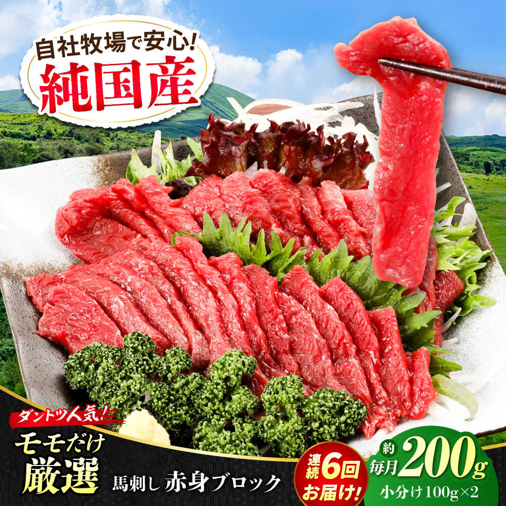 【ふるさと納税】【全6回定期便】『純国産』熊本の味 赤身 馬刺し 約200g ブロック 冷凍 タレ付き【有限会社 九州食肉産業】[AYCN110]