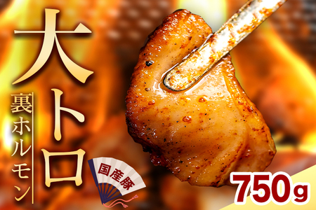 国産豚ホルモン 大トロ キクアブラ 750g (150g×5)（DV067）