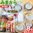 【ふるさと納税】薬味 みまから 8品詰め合わせ 工房ロマン《30日以内に出荷予定(土日祝除く)》徳島県 美馬市 みまから 特産品 美馬市産 青唐辛子 唐辛子 冷奴 ラーメン お鍋 薬味みまから ちりめんみそ うまからみそ 焼肉たれ激辛 ゆずみそ 田楽みそ