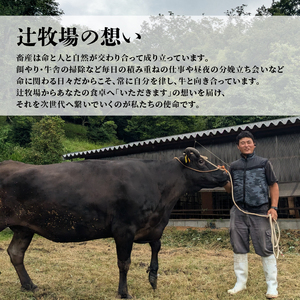 【先行予約】辻ビーフ 切り落とし 1kg 1000g 黒毛和牛 和牛 国産 京都府産 京丹波町産 牛肉 ビーフ 肉 赤身 切り落とし こま切れ 小間切れ 細切れ 冷凍 焼き肉 肉じゃが 牛丼 おいしい
