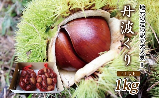 
京都 京丹波町産 丹波くり 1kg （ 数量限定 道の駅で大人気の丹波栗 ）※北海道・沖縄・その他離島はお届け不可 [010MN001L]
