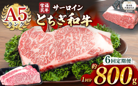 【栃木県共通返礼品】【定期便6回】宮福笑牛(とちぎ和牛) A5 サーロインステーキ　約200gx4枚  | 黒毛 和牛 牛肉 焼肉 とろける 霜降り 赤身 切り落とし ふるさと 納税 イチオシ おすすめ 栃木県 下野市 しもつけ市
