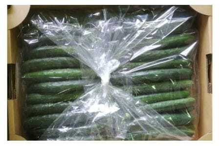 キュウリ 5kg きゅうり 胡瓜 夏野菜 常温便 新鮮 国産 茨城県産 野菜 夏 旬 産地直送 農園直送 ベジタブル グリーン サラダ 一本漬け 浅漬け 家庭用 業務用 フレッシュ 茨城県 石岡市 (