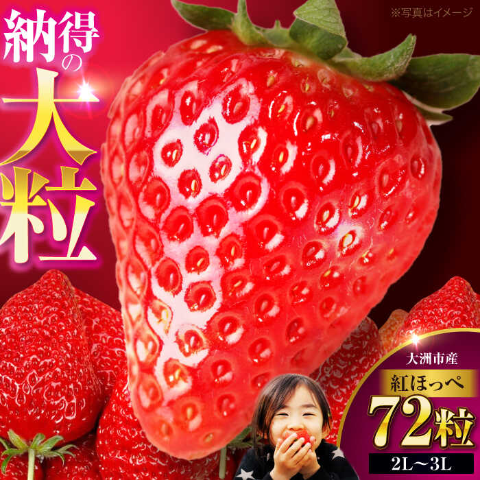 【ふるさと納税】いちご 【先行予約】【2026年1月上旬〜から順次発送】紅ほっぺ 72粒 （ 24粒 × 3箱 ） | 人気 おすすめ ランキング おいしい 甘い 苺 イチゴ 大粒 高級 送料無料 デザート スイーツ 果物 フルーツ 大洲市/有限会社西山青果 [AGAR003] 40000 40000円 以下