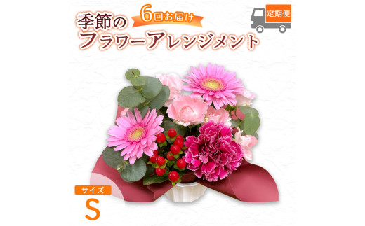 【6回定期便】季節のフラワーアレンジメント（S） / 花 生花 ギフト 綾部市 / 有限会社トリオ［BSDZ065］