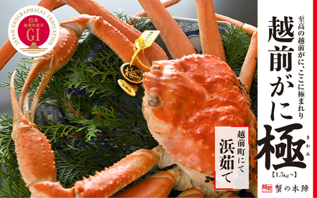 冬の日本海の味 浜茹で【越前がに 極】11月～翌3月順次発送 [e56-x007]