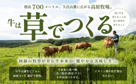 【山の里】くまもと阿蘇あか毛和牛焼肉セット　赤身肉＋カルビ（150g×4パック）【産山村産】
