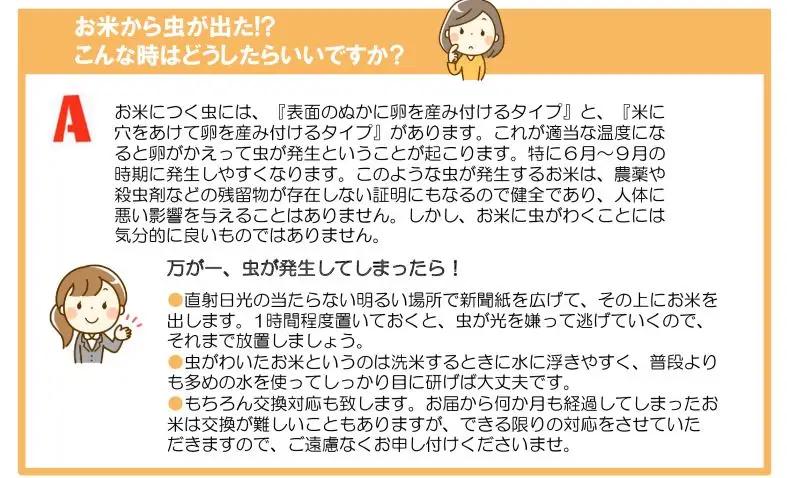 花巻産ひとめぼれ4㎏（2㎏×2袋） 【994】
