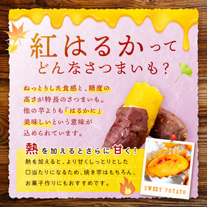 ＜てんとうむしばたけ＞有機さつまいも(紅はるか)5kg