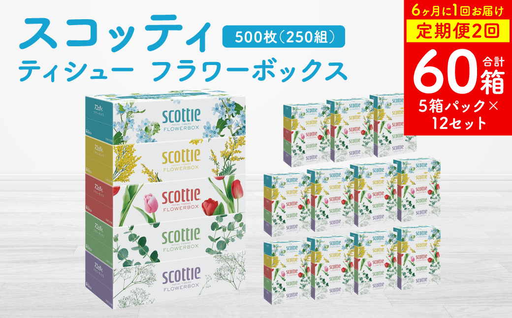 【定期便2回】【6ヶ月に1回お届け】【スコッティ】ティシュー フラワーボックス 250組 5箱パック×12セット 合計60箱  ティッシュ 日用品 生活必需品