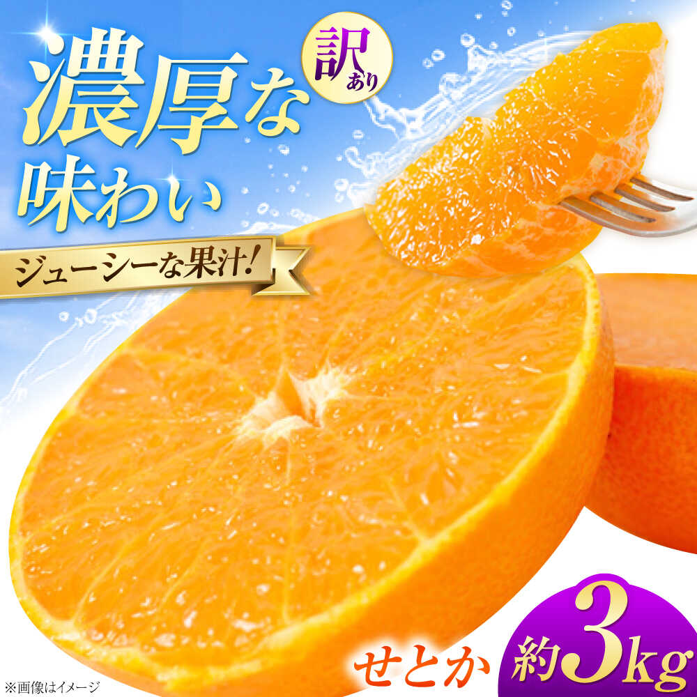 【ふるさと納税】みかん 訳あり せとか 約3kg サイズ不揃い【1月下旬から2月中旬まで順次発送】/ フルーツ 果物 蜜柑 ミカン オレンジ 訳あり 訳アリ 小玉 甘い 先行予約 3kg 愛媛 果汁 人気 おすすめ / 愛媛県砥部町/株式会社フルーツファーム健治郎[BJBE002]