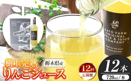 【定期便12回】栃木県矢板市産 樹上完熟100％りんごジュース 720ml×12本入  | 林檎 リンゴ 果汁100% 産地直送 (毎月お届け）  