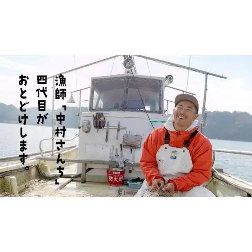 殻付き生牡蠣 冷蔵 約3kg ( 加熱用 ) 26～33個程度 【1月中旬～3月発送】 瀬戸内の離島から届く牡蠣  