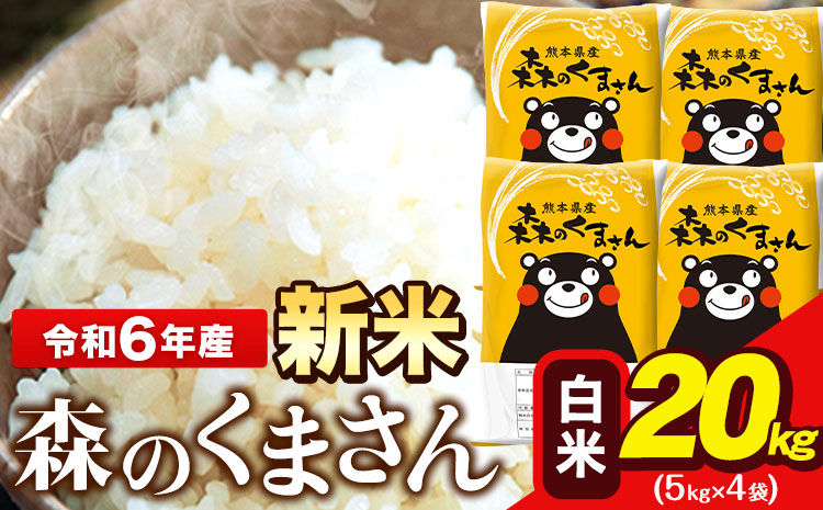 令和6年産 新米  森のくまさん 20kg 5kg × 4袋  白米 熊本県産 単一原料米 森くま《11月-12月より出荷予定》送料無料---ng_mk6_af11_24_36000_20kg_h---