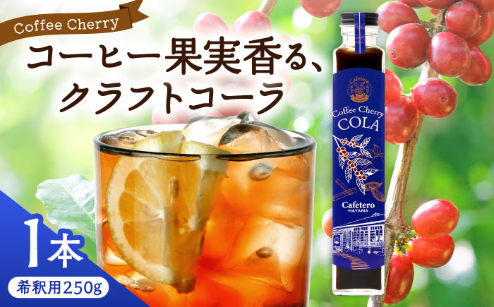 
            カフェテーロ葉山　コーヒーチェリーコーラ　250g×1本 / 天然エネジードリンク 酸味 フルーティ 神奈川県【合同会社エンディレクト】 [ASBM001]
          