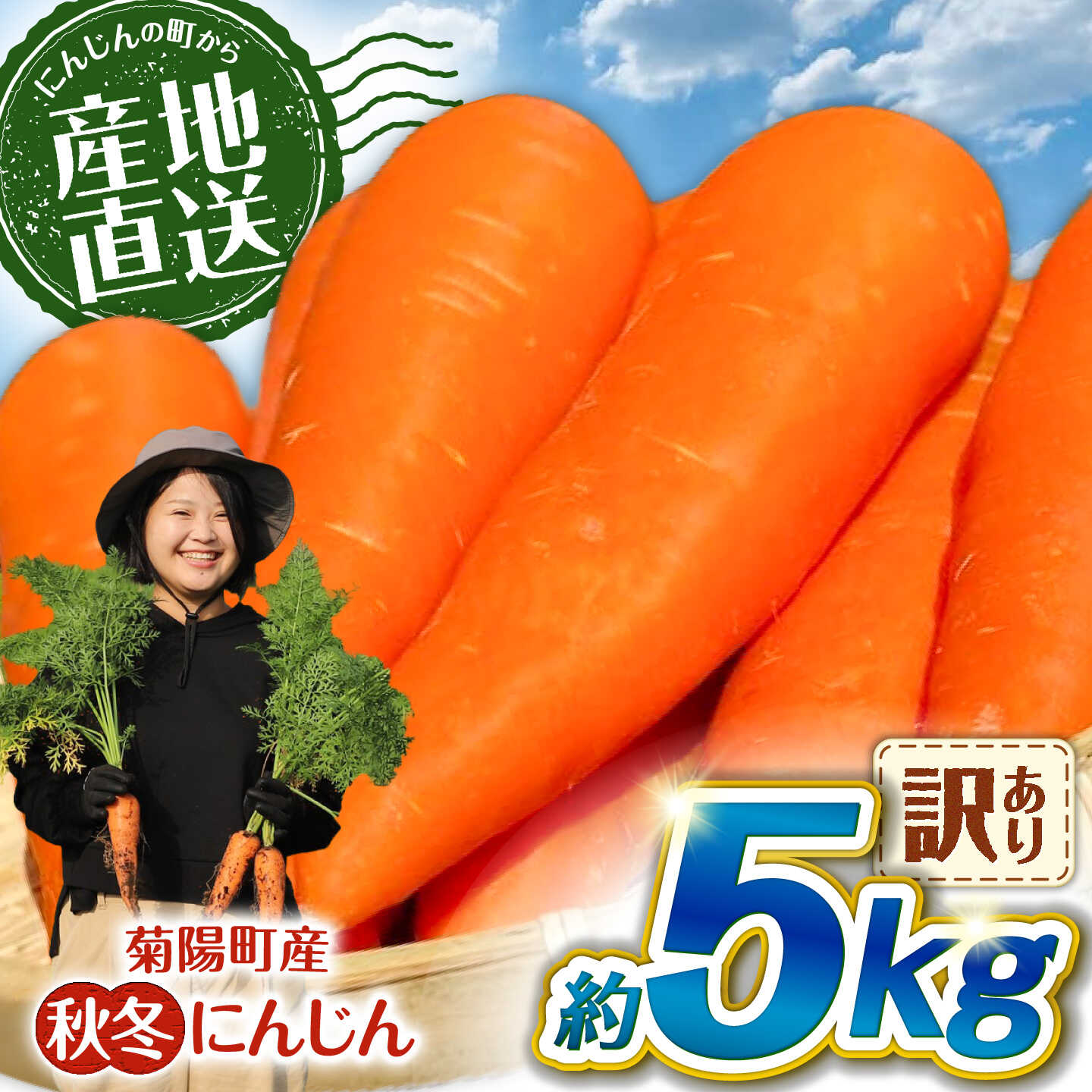 【ふるさと納税】【先行予約】【2026年11月中旬より順次発送】菊陽秋冬にんじん (訳あり) 約5kg / にんじん 菊陽にんじん 秋冬にんじん ニンジン 人参 野菜 熊本 菊陽 【さかもと農園】[BHDL007]