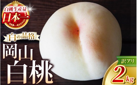
                  【2026年出荷分先行予約】岡山県産 白桃 約2kg 訳あり 花田青果 フルーツ王国の桃 品種お任せの桃｜ 岡山県 フルーツ もも 桃 モモ 人気 桃 もも 新鮮 旬 真庭市 果物 フルーツ もも 桃 ピーチ 贈答 ギフト 家庭用 期間限定 令和8年発送 もも 桃 モモ momo 桃 岡山 先行予約 白桃 もも モモ フルーツ 果物 桃 フルーツ 果物 もも モモ momo【hnds003】
                