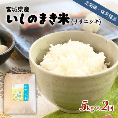 ふるさと納税 石巻市 米 定期便 【定期便2回・毎月発送】宮城県いしのまき産米「ササニシキ」5kg×2回(精米) 石巻市